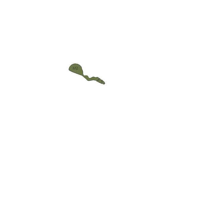 mountain course 2 ȳ