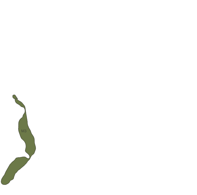 mountain course 3 ȳ